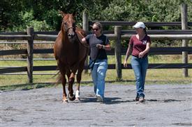 LR-WRF 08022025-Retreat-3188